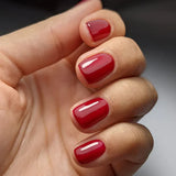 14ml GEMINI No 280 A Night At The Opera