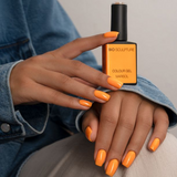 THE DEEP EDIT COLLECTION