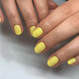 14ml GEMINI No 248 Tropical Sunray